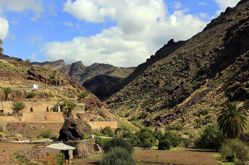 2016-11-07_131321 gran-canaria-2016.jpg - Im Barranco de los Juncos bei San Nicolas